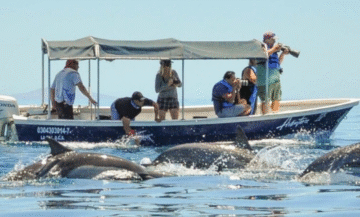 Journey to the Sea of Cortez – Summer Adventure – 7 Days